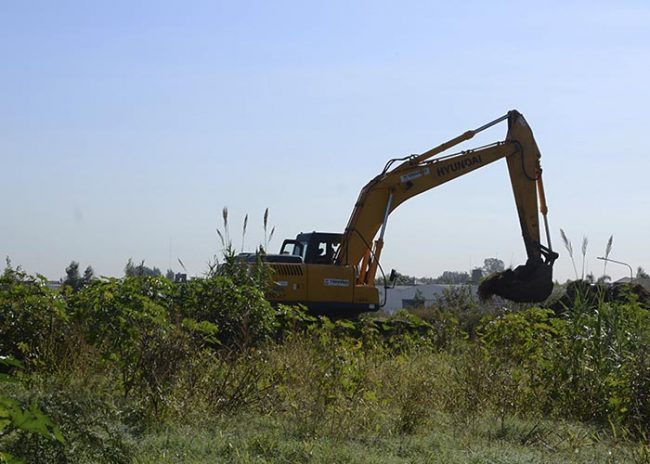 El medioambiente,cuidarlo es cuidarnos