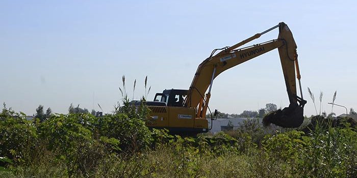El medioambiente,cuidarlo es cuidarnos