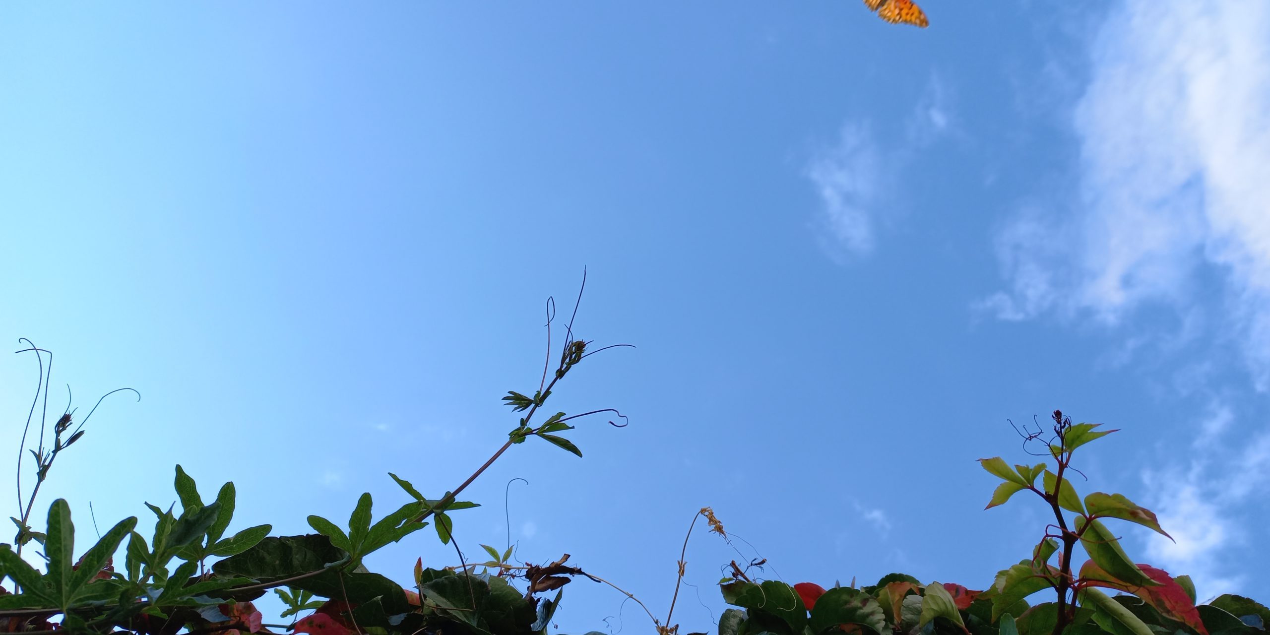 Foto para poema Memoria