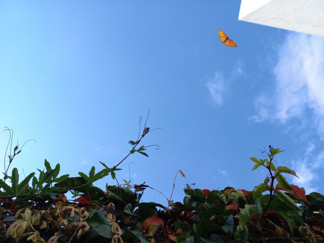 Foto para poema Memoria