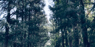 2022_07_08_11_25_03_Reserva_Natural_Presidente_Néstor_Kirchner