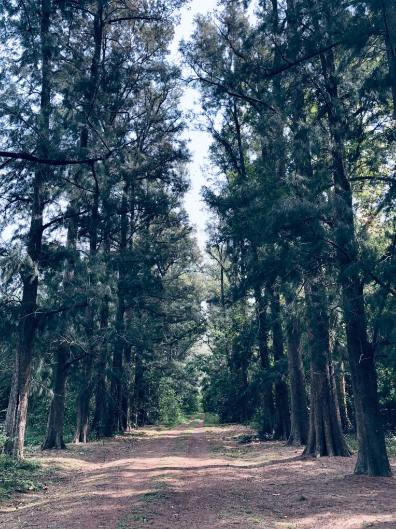 2022_07_08_11_25_03_Reserva_Natural_Presidente_Néstor_Kirchner